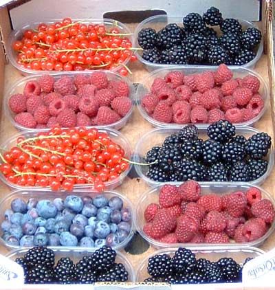 berry