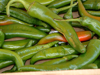pachi mirapakaya