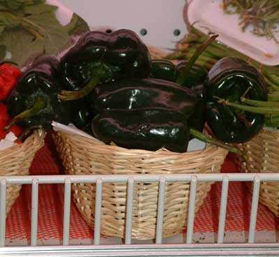 Poblano