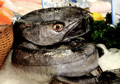 merlu