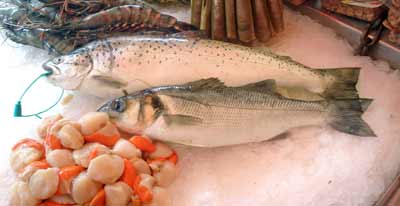 itsas amuarraina
