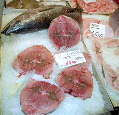tuna