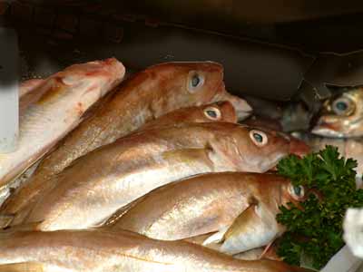 whiting