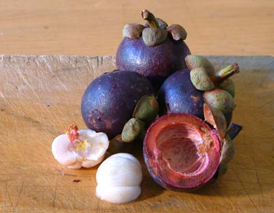 mangosteen