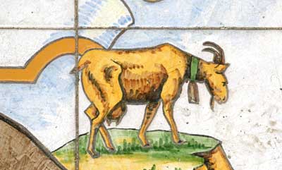bouc