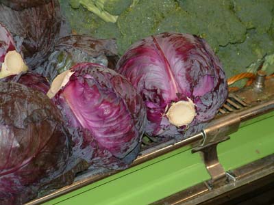 láchano kókkino