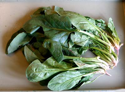 spinach