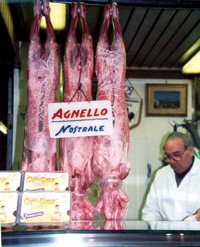 agnello