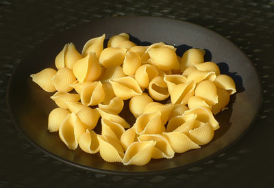 conchiglie