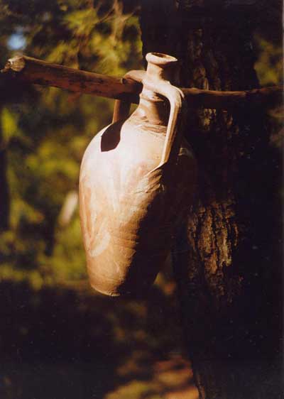 alcarraza