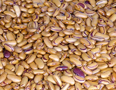 Tiger's Eye bean