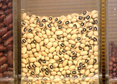 chowli