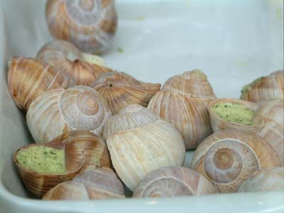 escargot