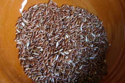 Camargue red rice