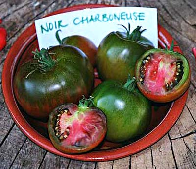 Noire Charbonneuse tomato