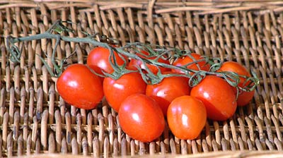 Pome dei Moro tomato